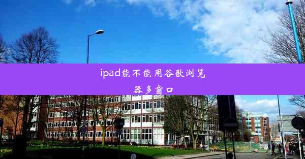 ipad能不能用谷歌浏览器多窗口