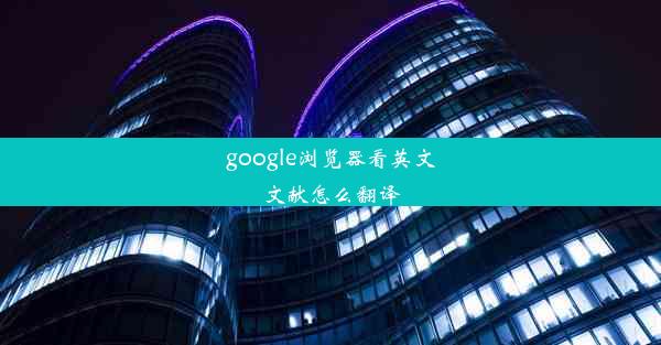 google浏览器看英文文献怎么翻译