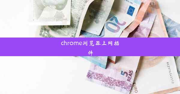 chrome浏览器上网插件