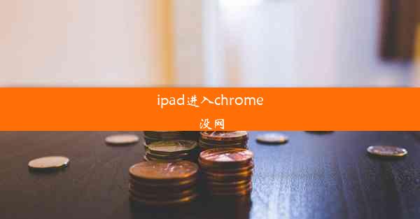 ipad进入chrome没网