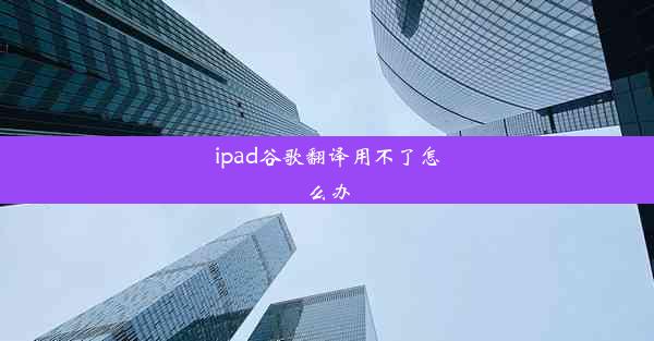 ipad谷歌翻译用不了怎么办