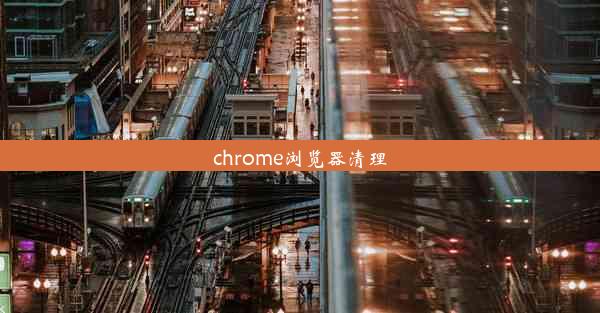 chrome浏览器清理