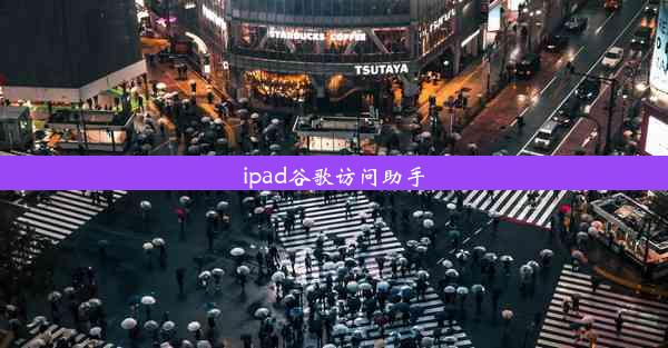 ipad谷歌访问助手