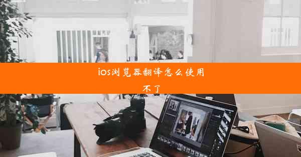 ios浏览器翻译怎么使用不了