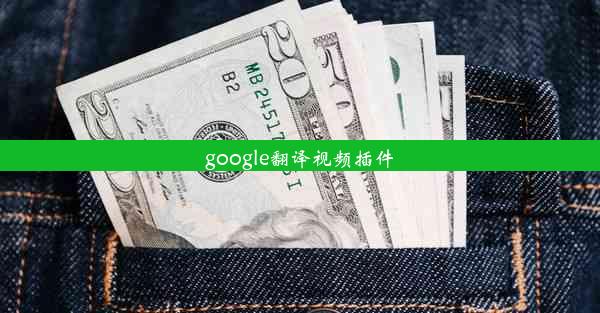 google翻译视频插件