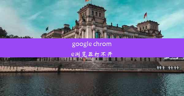 google chrome浏览器打不开