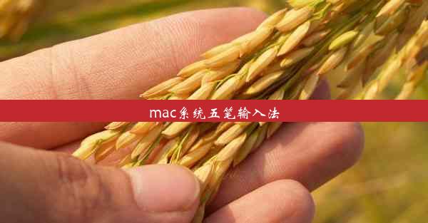 mac系统五笔输入法