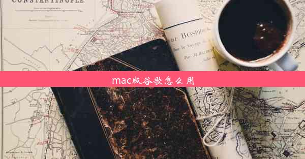 mac版谷歌怎么用