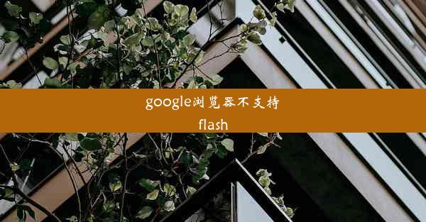 google浏览器不支持flash