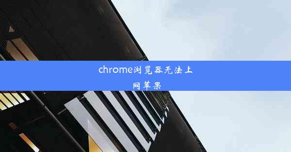 chrome浏览器无法上网苹果