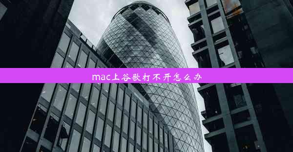 mac上谷歌打不开怎么办