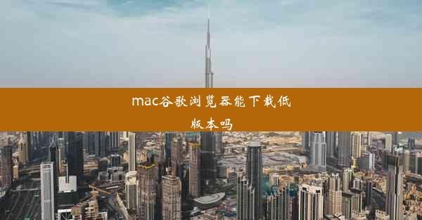 mac谷歌浏览器能下载低版本吗