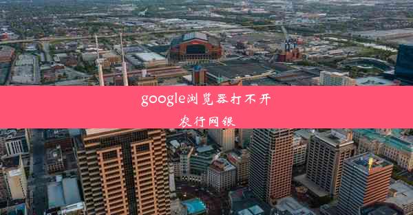 google浏览器打不开农行网银