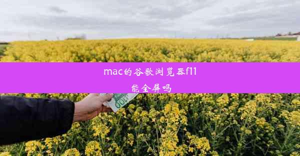 mac的谷歌浏览器f11能全屏吗