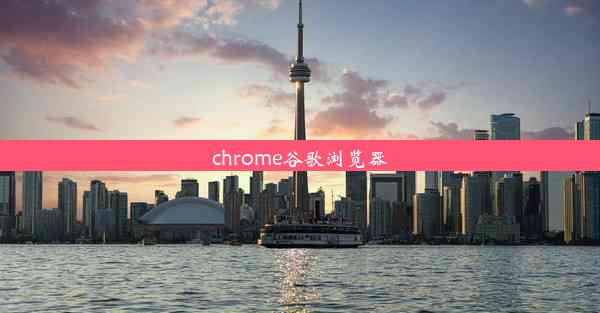 chrome谷歌浏览器