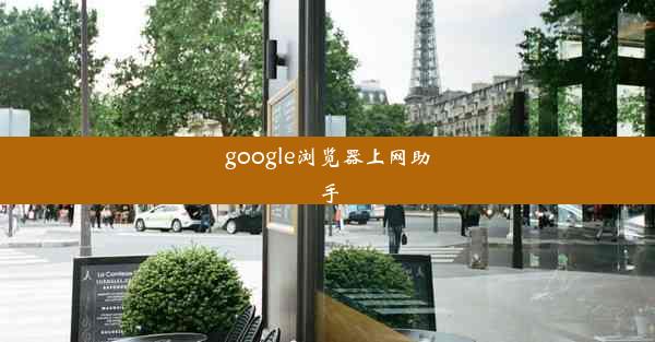 google浏览器上网助手