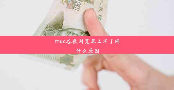 mac谷歌浏览器上不了网什么原因