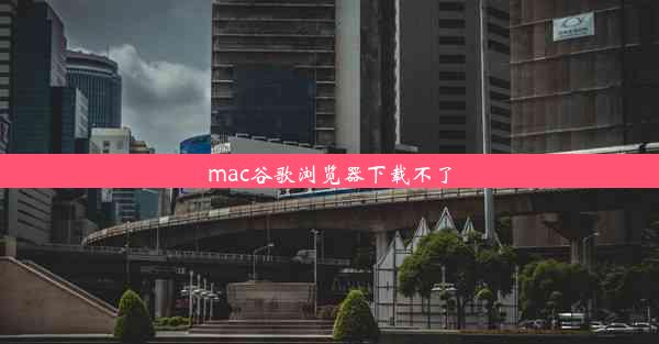 mac谷歌浏览器下载不了