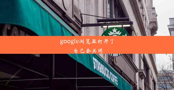 google浏览器打开了自己会关闭