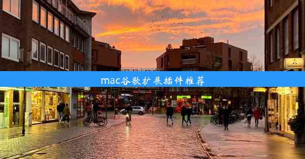 mac谷歌扩展插件推荐