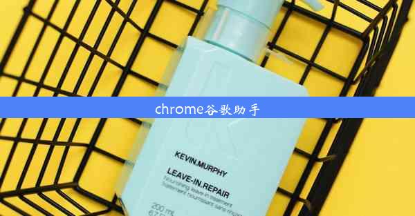 chrome谷歌助手