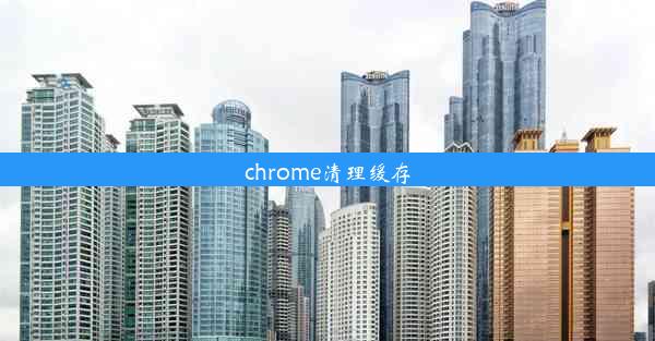 chrome清理缓存