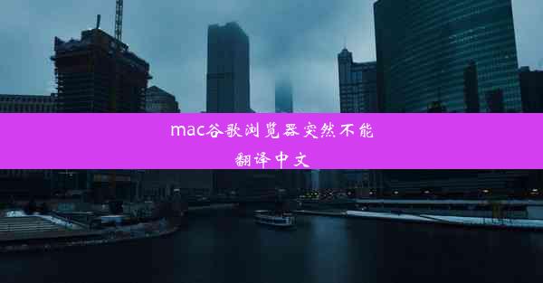 mac谷歌浏览器突然不能翻译中文