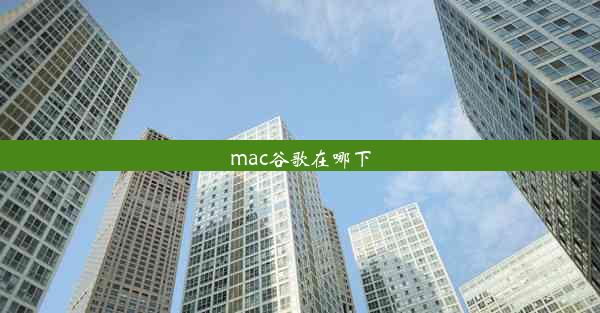 mac谷歌在哪下