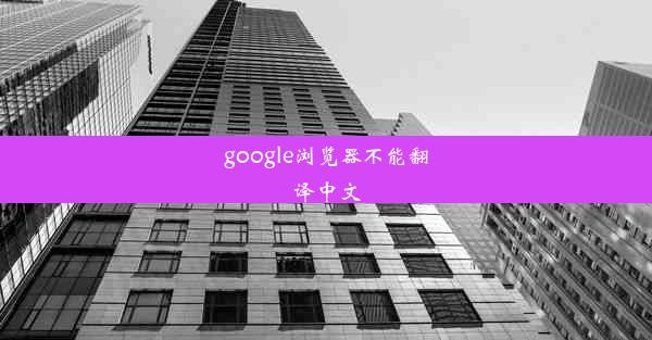 google浏览器不能翻译中文