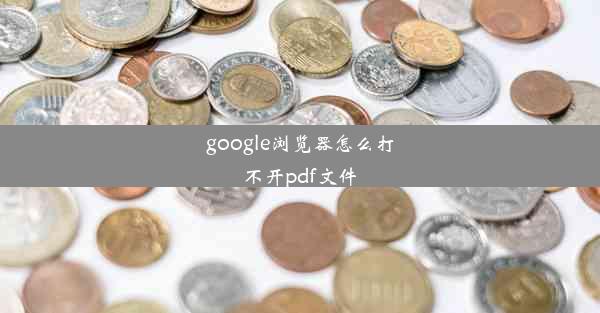 google浏览器怎么打不开pdf文件