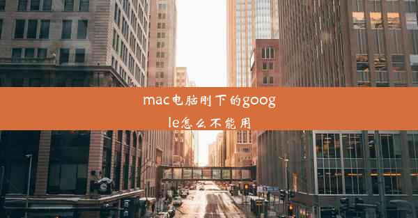 mac电脑刚下的google怎么不能用