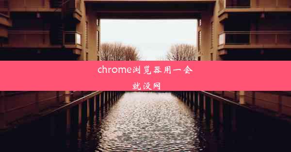 chrome浏览器用一会就没网