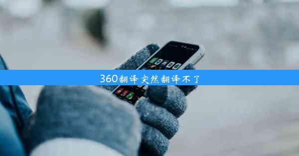 360翻译突然翻译不了