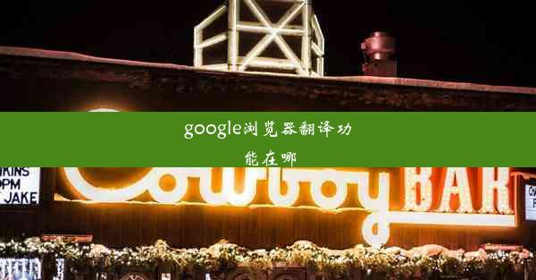 google浏览器翻译功能在哪