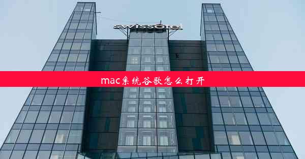 mac系统谷歌怎么打开