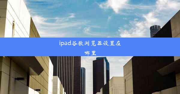 ipad谷歌浏览器设置在哪里