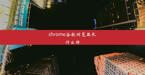 chrome谷歌浏览器长什么样