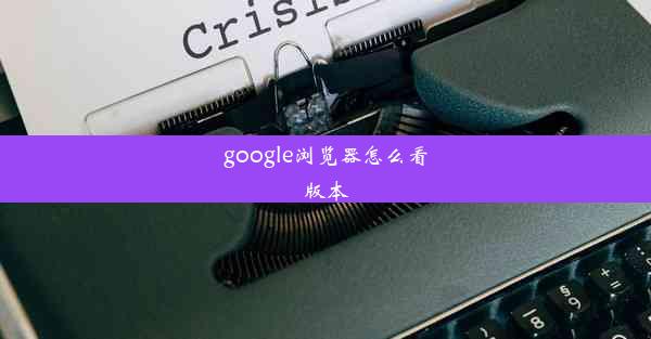 google浏览器怎么看版本