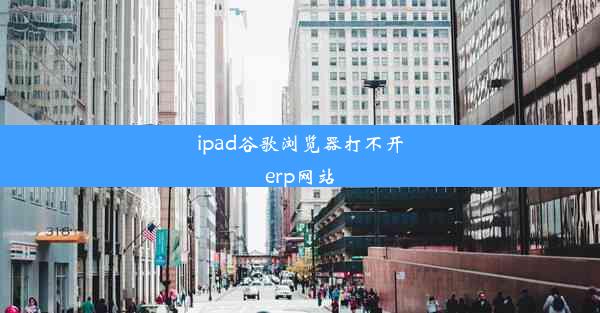 ipad谷歌浏览器打不开erp网站