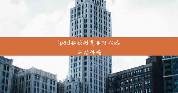 ipad谷歌浏览器可以添加插件吗