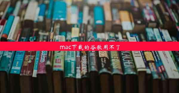 mac下载的谷歌用不了