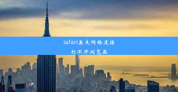 safari丢失网络连接打不开浏览器