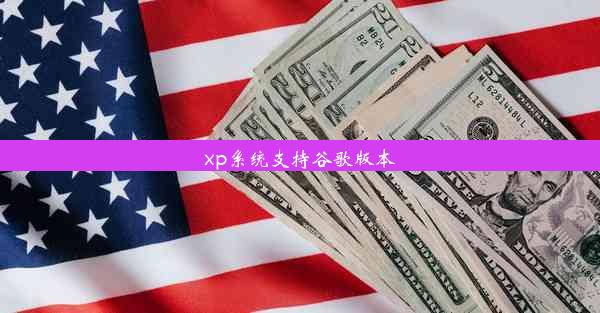 xp系统支持谷歌版本