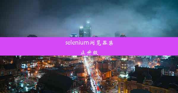 selenium浏览器禁止升级