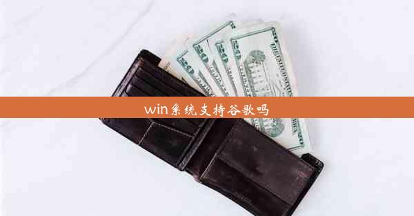 win系统支持谷歌吗