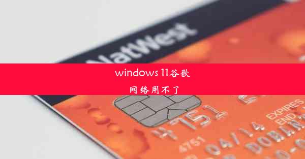 windows 11谷歌网络用不了