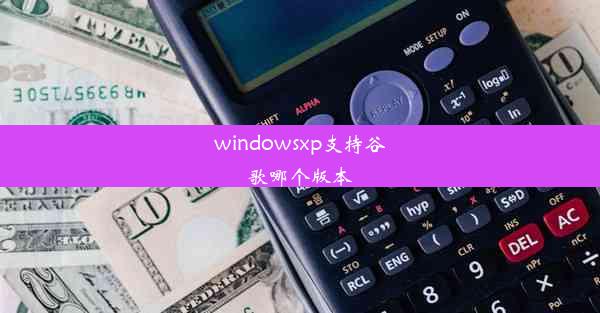 windowsxp支持谷歌哪个版本